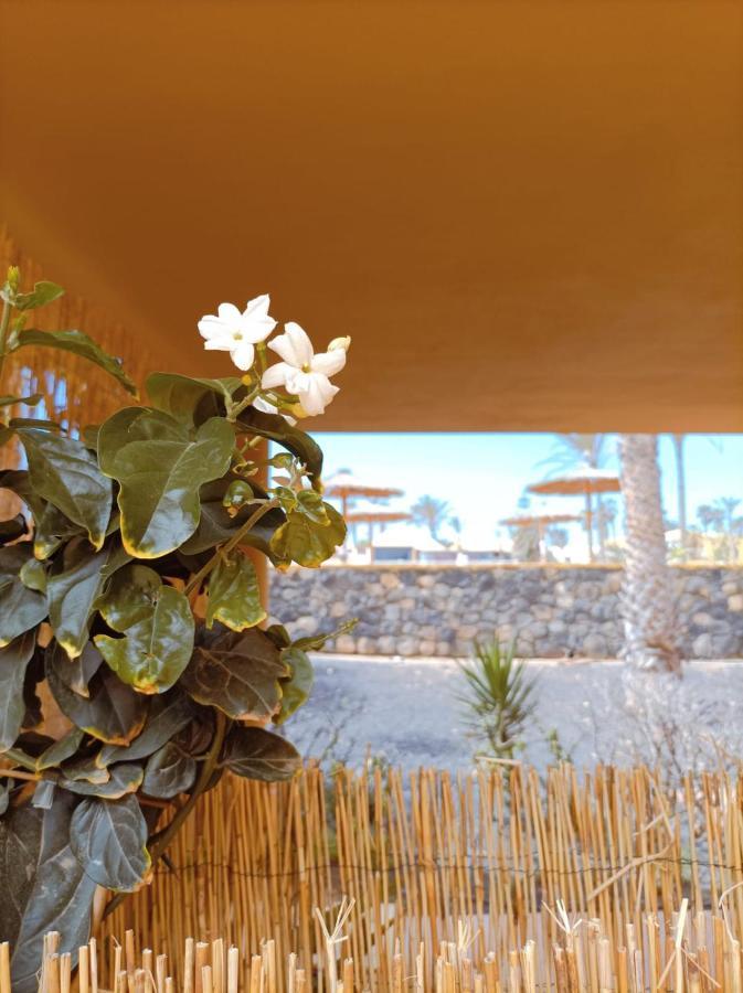 Appartamento Mai Fuerteventura By Best Holidays Fuerteventura Corralejo Esterno foto